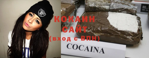 стафф Арсеньев