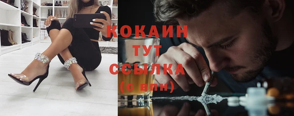 стафф Арсеньев