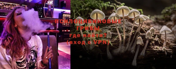 PSILOCYBIN Тайга