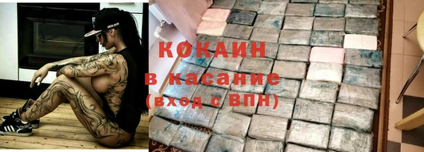стафф Арсеньев