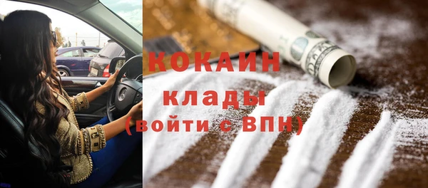 стафф Арсеньев