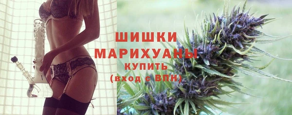 PSILOCYBIN Тайга
