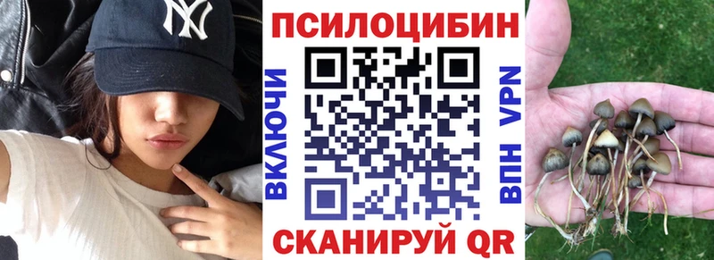 Псилоцибиновые грибы мицелий  Курган 