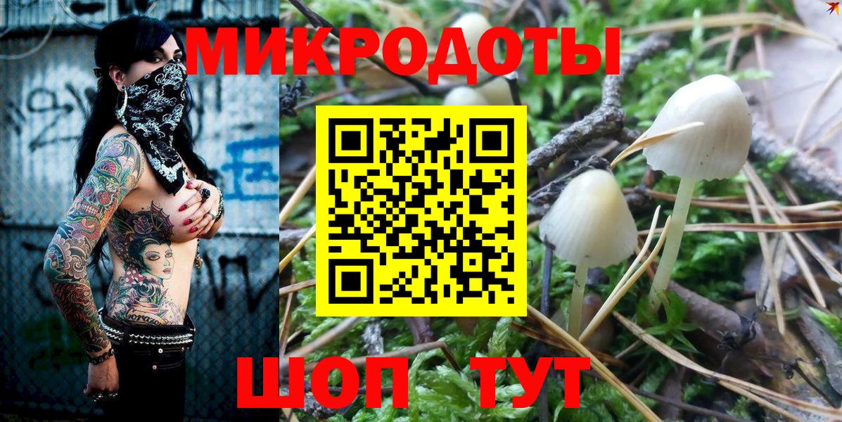 Псилоцибиновые грибы GOLDEN TEACHER Курган