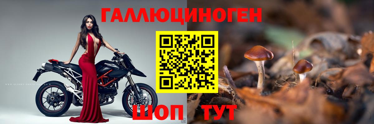 Галлюциногенные грибы GOLDEN TEACHER  Псилоцибиновые грибы Magic Shrooms  Курган  Вход с VPN 